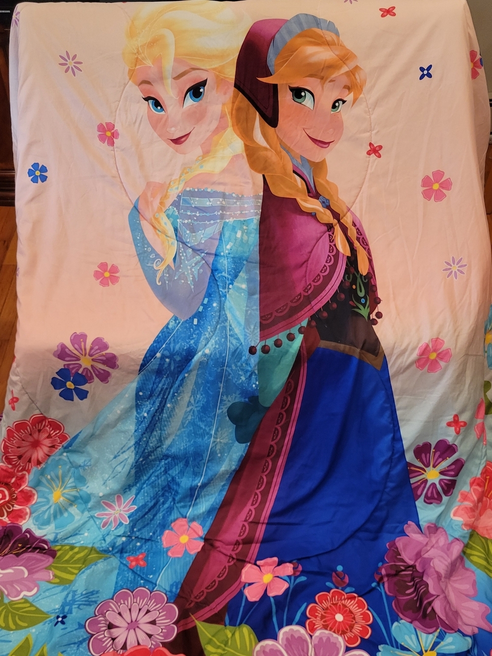 Disney Pink and Blue Frozen Anna & Elsa Comforter Set